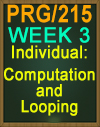 PRG/215 Computation and Looping